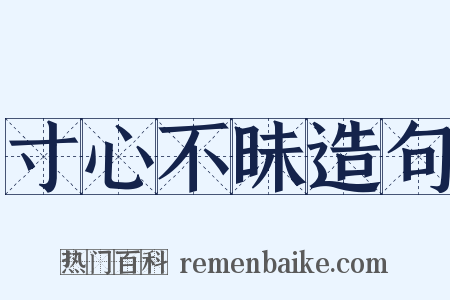 寸心不昧造句是什么意思的图片